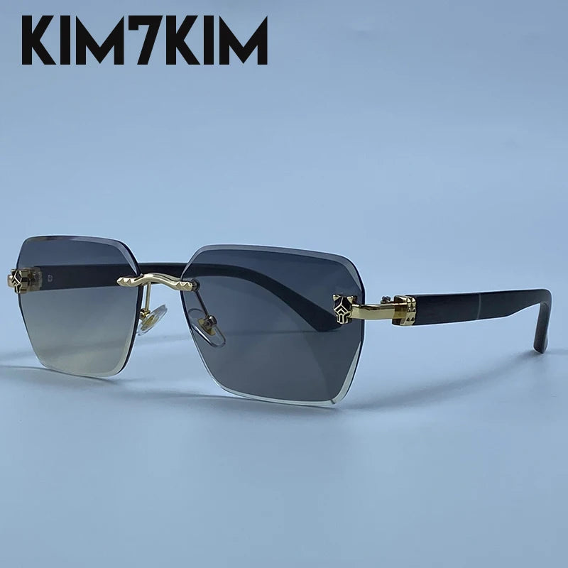 Lunettes de Soleil Photochromiques Sans Monture Luxe Homme